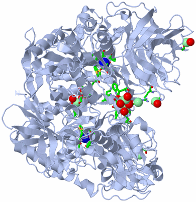 Image Biol. Unit 1 - sites