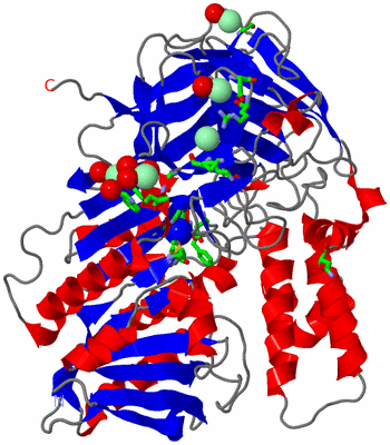 Image Asym. Unit - sites