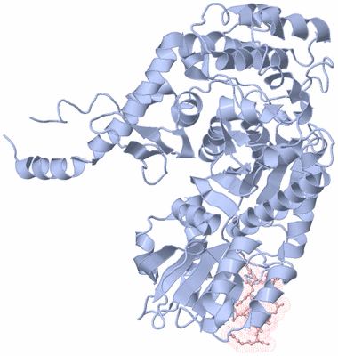 Image Biological Unit 1