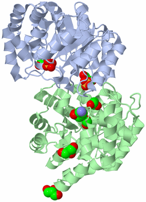 Image Asym./Biol. Unit