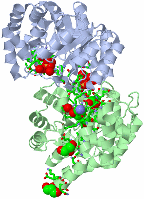 Image Asym./Biol. Unit - sites