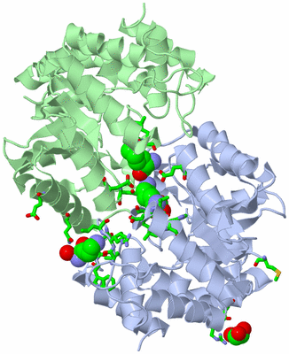 Image Asym./Biol. Unit - sites