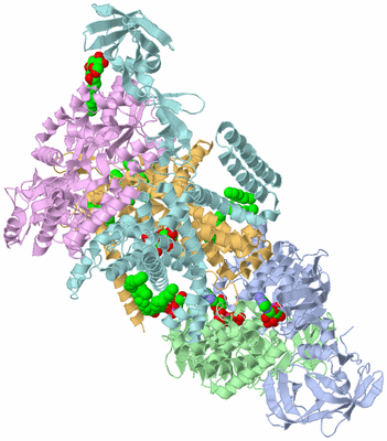 Image Asym./Biol. Unit