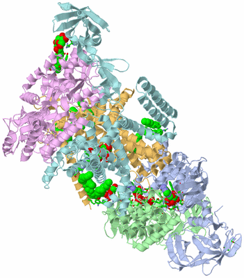 Image Asym./Biol. Unit - sites