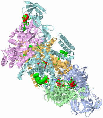 Image Asym./Biol. Unit - sites