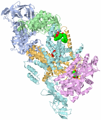 Image Asym./Biol. Unit