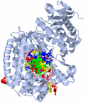 Image Biological Unit 1