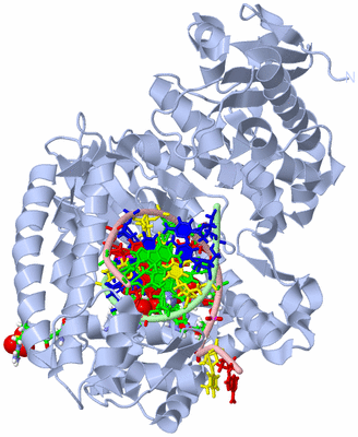 Image Biol. Unit 1 - sites