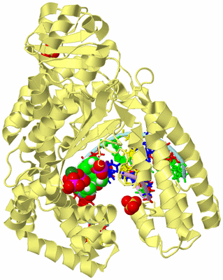 Image Biological Unit 2