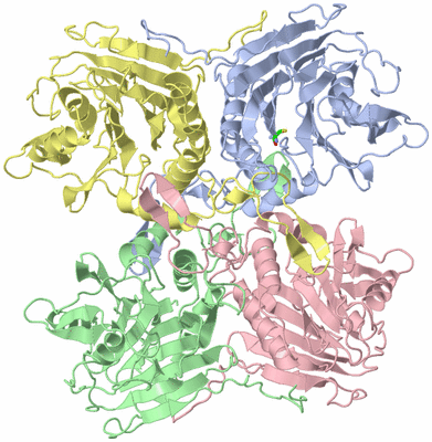 Image Biol. Unit 1 - sites