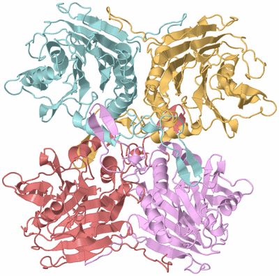 Image Biological Unit 2