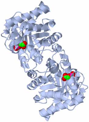 Image Biological Unit 2