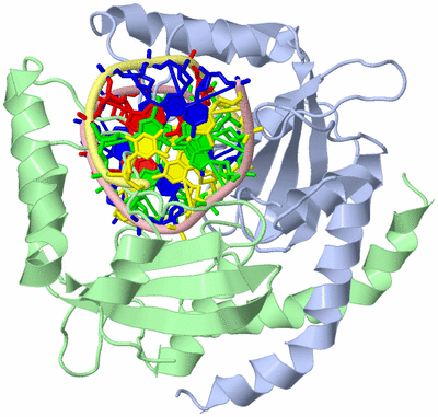 Image Asym./Biol. Unit