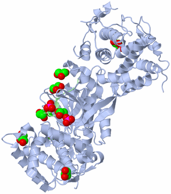 Image Asym./Biol. Unit