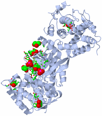 Image Asym./Biol. Unit - sites