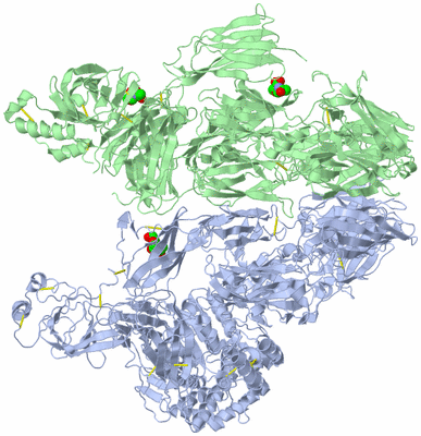 Image Biological Unit 1