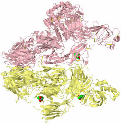 Image Biological Unit 2