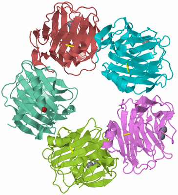 Image Biological Unit 3