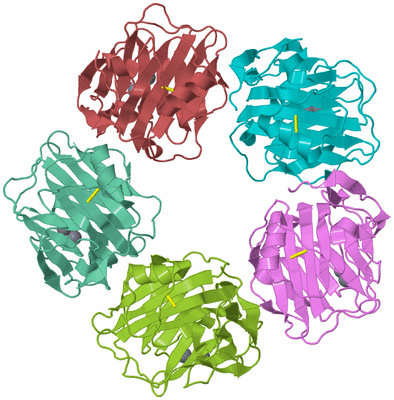 Image Biological Unit 3