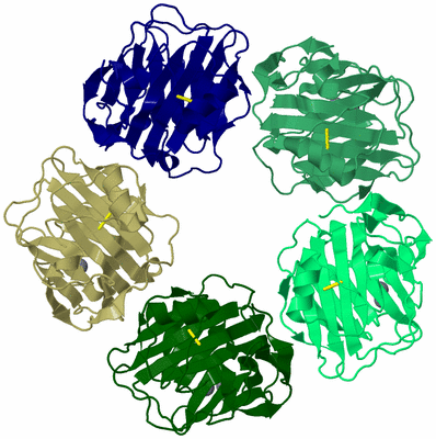 Image Biological Unit 4