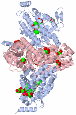 Image Biological Unit 1