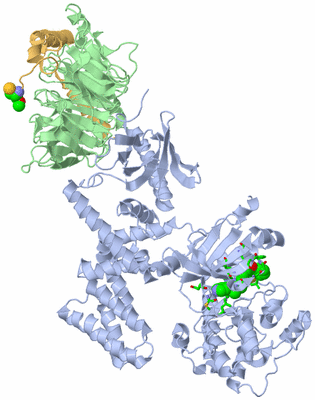 Image Asym./Biol. Unit - sites