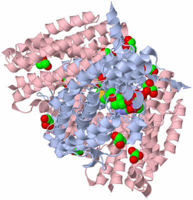 Image Biological Unit 1