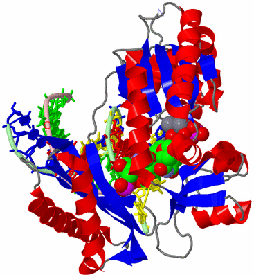 Image Asym./Biol. Unit