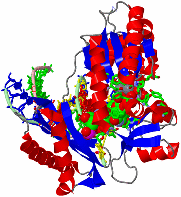 Image Asym./Biol. Unit - sites