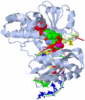 Image Biological Unit 1