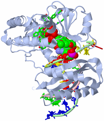 Image Biol. Unit 1 - sites