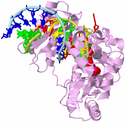 Image Biological Unit 2