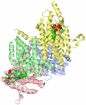 Image Asym./Biol. Unit - sites