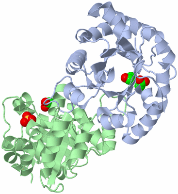 Image Asym./Biol. Unit