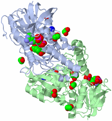 Image Asym./Biol. Unit