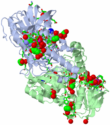 Image Asym./Biol. Unit - sites