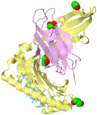 Image Biological Unit 2