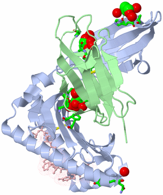 Image Biol. Unit 1 - sites