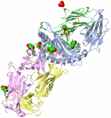 Image Asym./Biol. Unit - sites