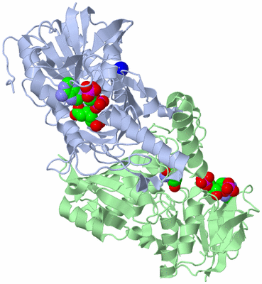 Image Asym./Biol. Unit