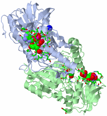 Image Asym./Biol. Unit - sites