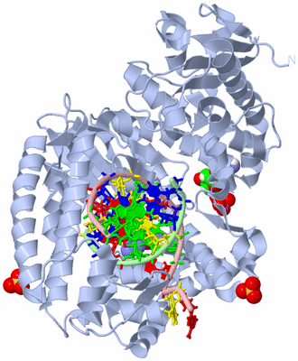 Image Biological Unit 1