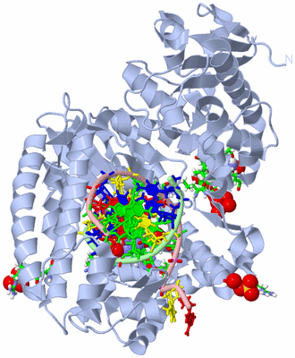 Image Biol. Unit 1 - sites