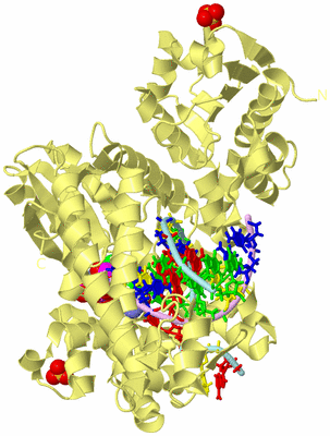 Image Biological Unit 2