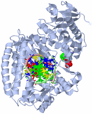 Image Biological Unit 1