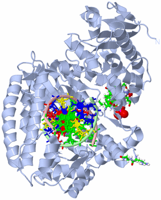 Image Biol. Unit 1 - sites