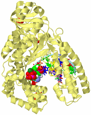 Image Biological Unit 2