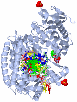 Image Biological Unit 1