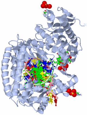 Image Biol. Unit 1 - sites