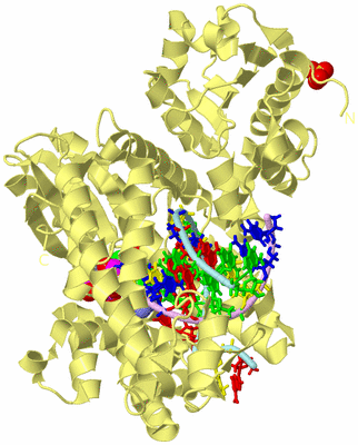 Image Biological Unit 2